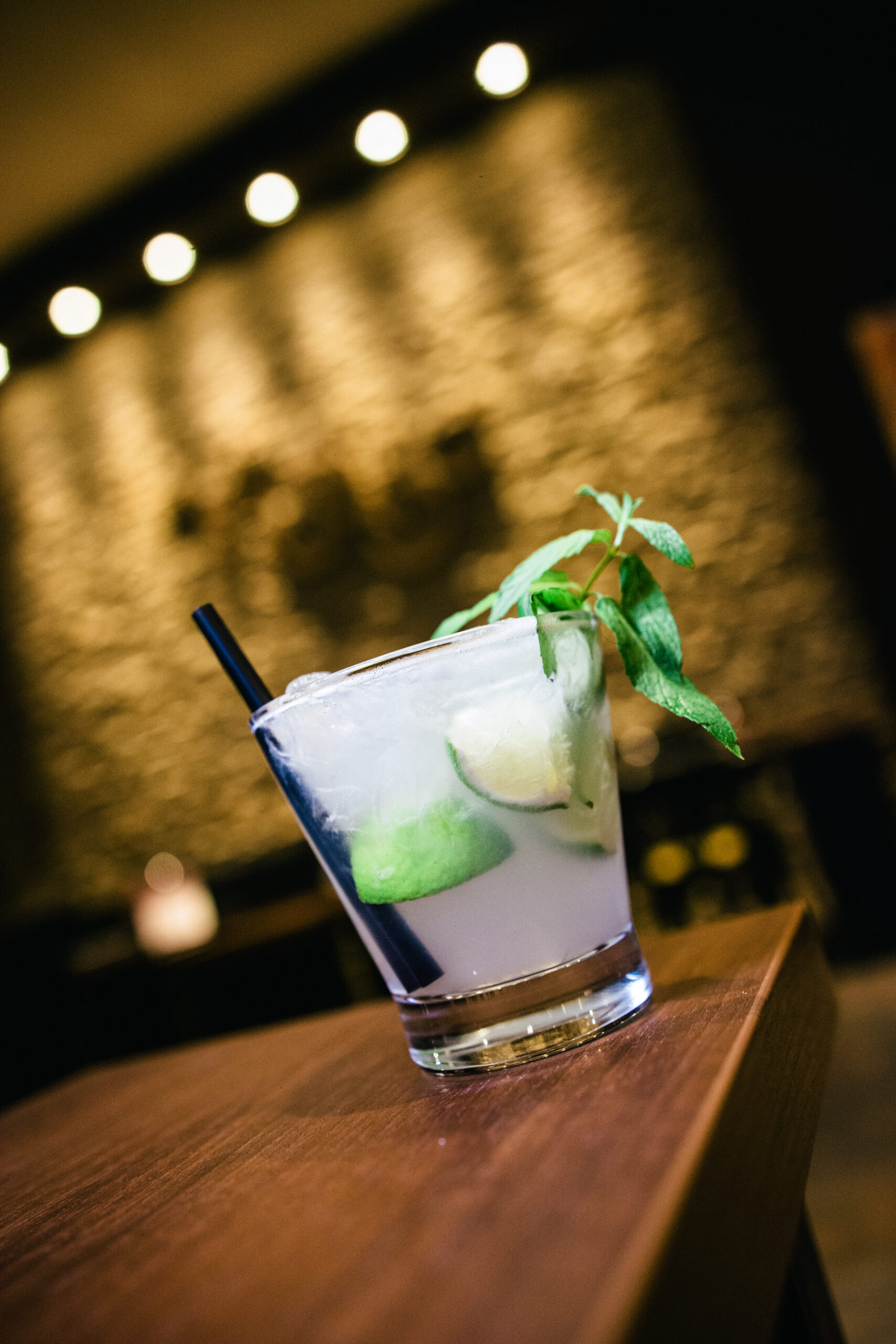 TRAGOS (12)